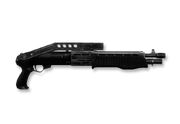 Spas 12
