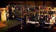 Boxing gym.jpg.728x520 q85