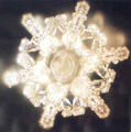 Thumbnail for version as of 22:28, February 25, 2010