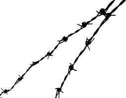 File:Barbed wire.jpg