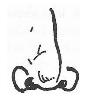 File:Smell.JPG