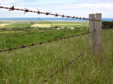 Barb-Wire-Fence