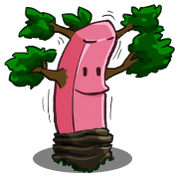 Rubber Tree