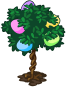 Egg Bush