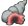 Trumpet Shell