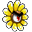 Sun Glower