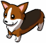 Corgi Pet