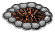 Bonfire