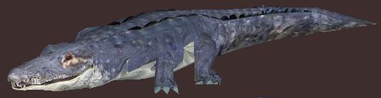 File:American Alligator.jpg