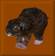 Mountainbeaver