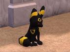 Yellow Umbreon