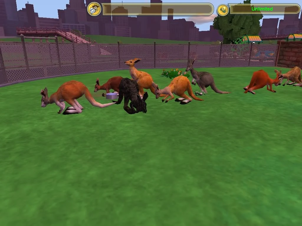 Common Wallaroo Zoo Tycoon Wiki FANDOM powered by Wikia