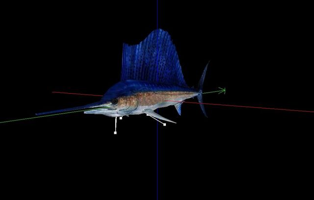 File:Sailfish Mesh.jpg