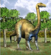 Zoo tycoon 2 dinosaur digs free download Zoo tycoon 2 dinosaur digs free download