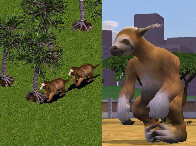File:Sloth 1 2.jpg