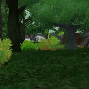 Preview tropicalrainforest