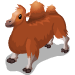 75 bactrianCamel