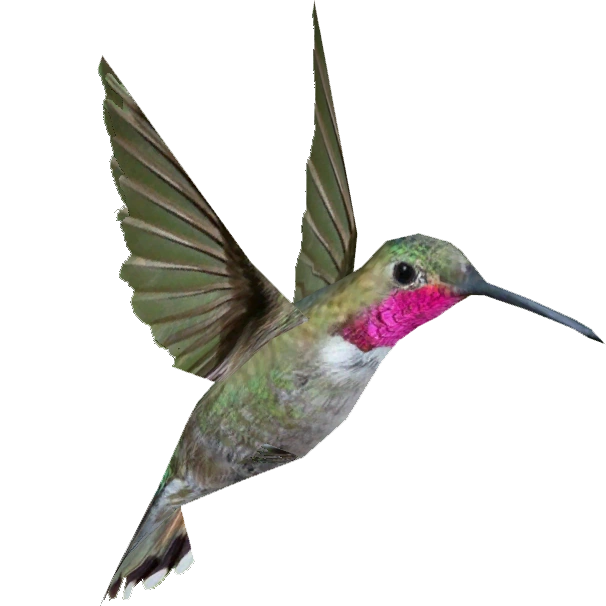 latest?cb=20160517164502