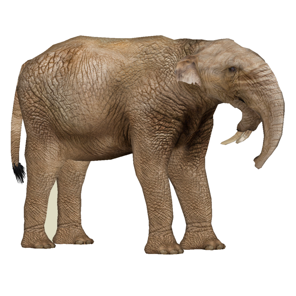 Category:Extinct Elephants | ZT2 Download Library Wiki | FANDOM powered