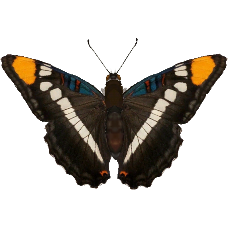 latest?cb=20160618160606