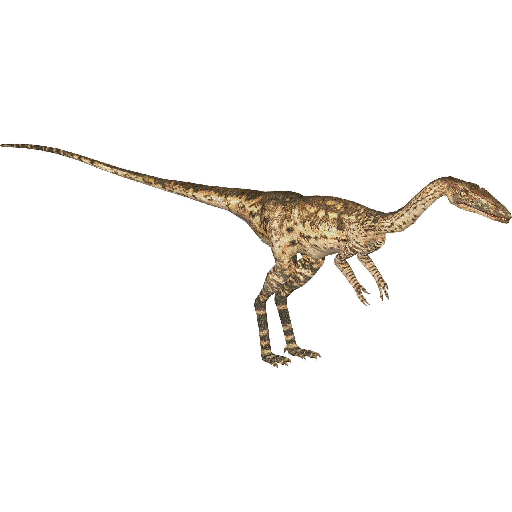 zoo tycoon 2 dino dig