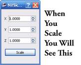 Scale fo Nifscope