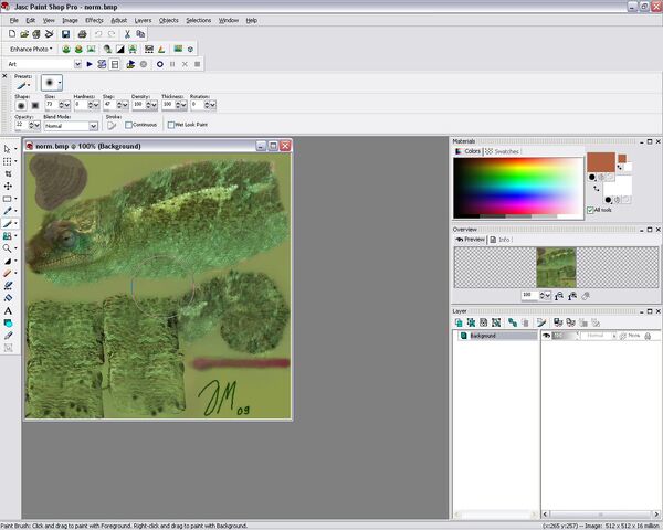File:Skinpsp.jpg