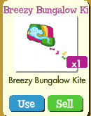 Kite